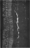 632-2