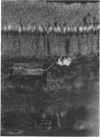 632-1