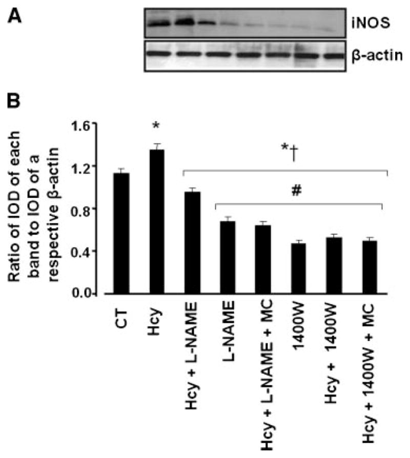 Fig. 8