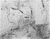 384
