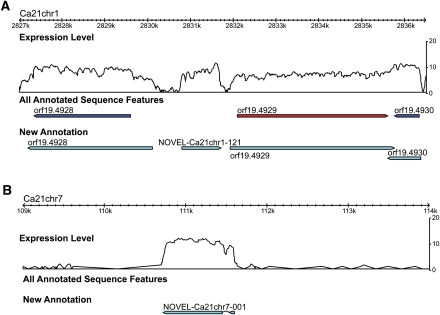 Figure 4.