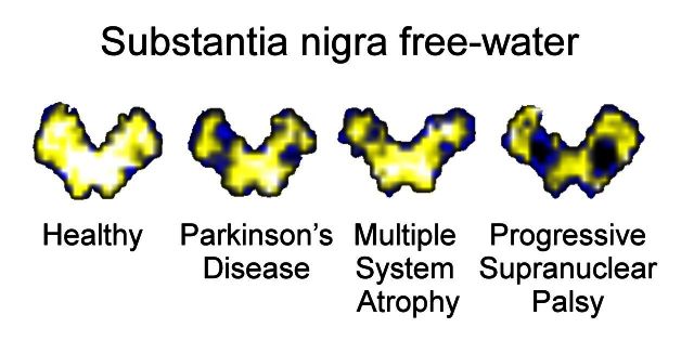 graphic file with name awv361fig1g.jpg