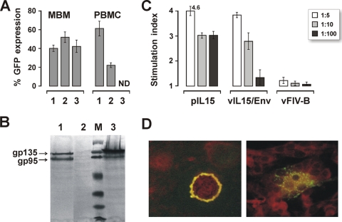 FIG. 3.