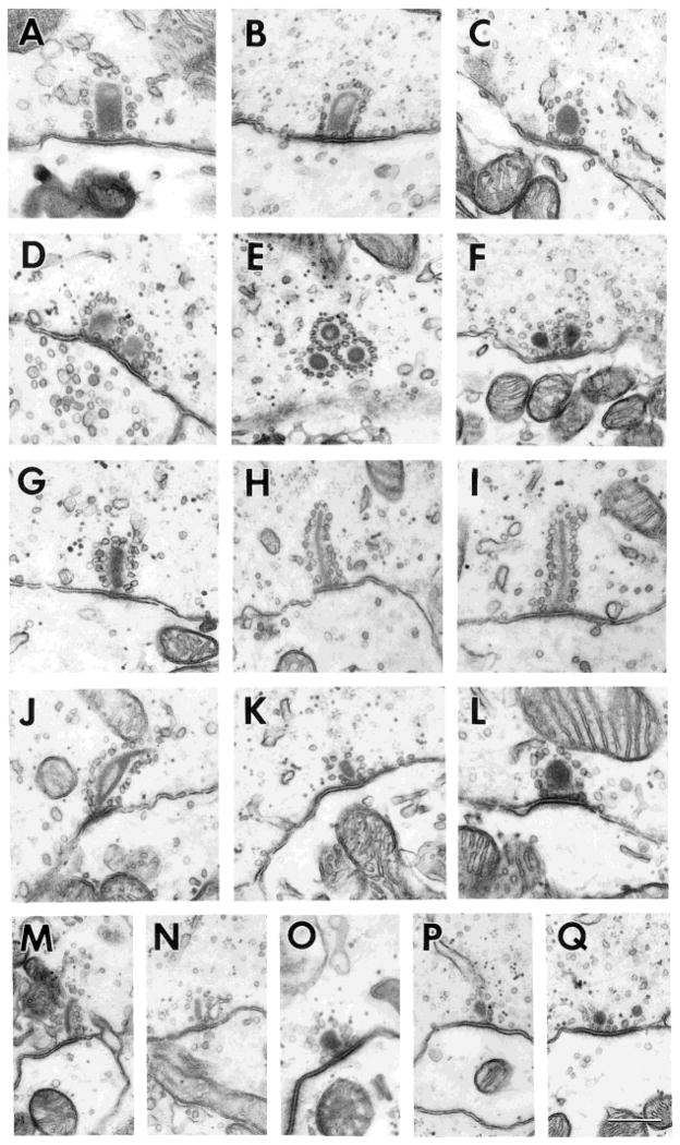 Fig. 16