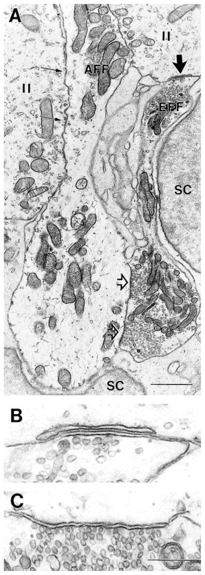 Fig. 14