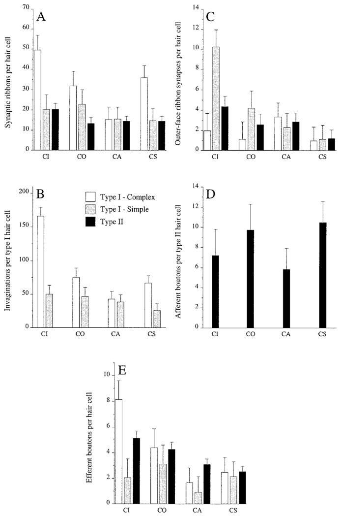 Fig. 13