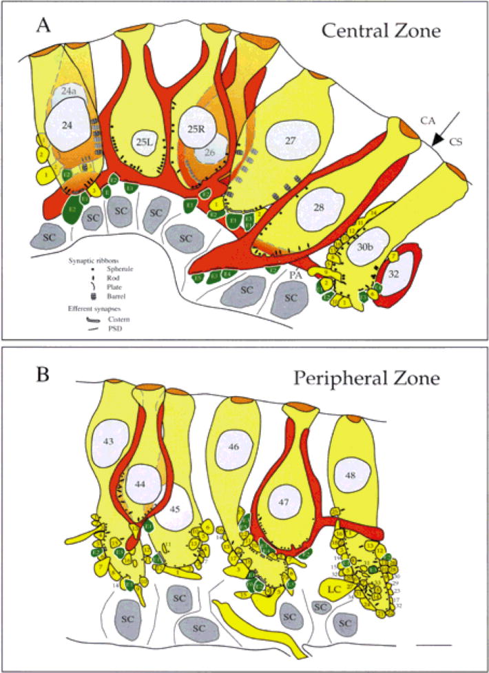 Fig. 8