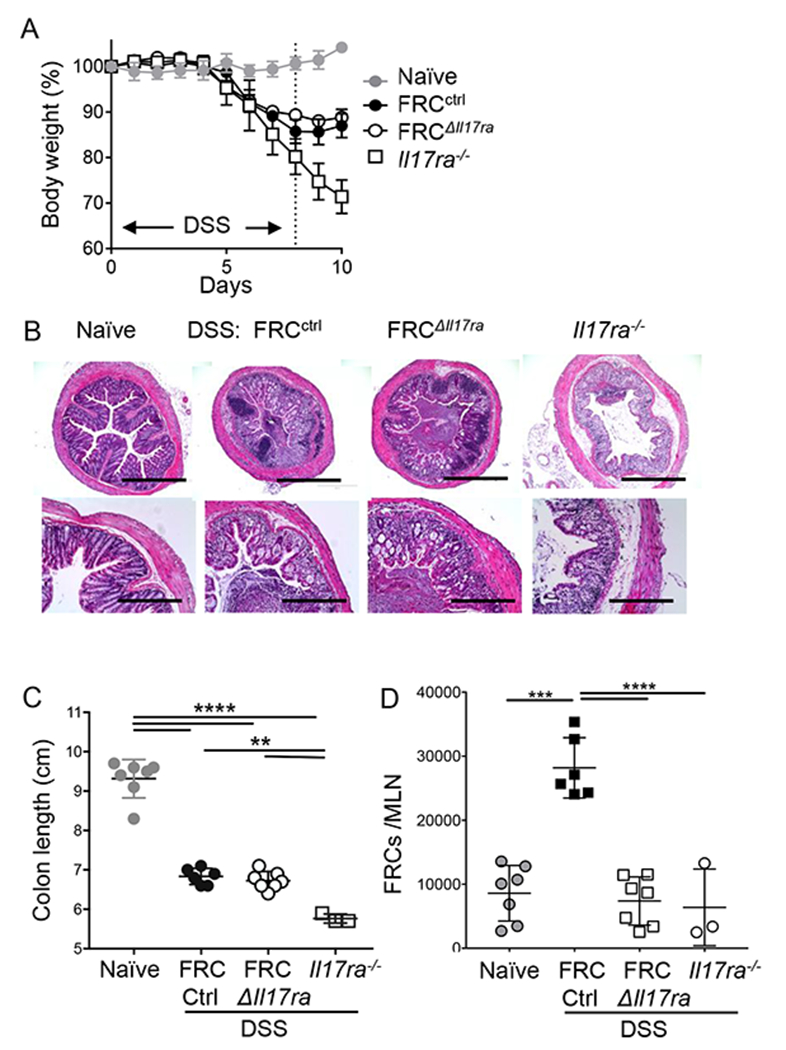 Figure 5: