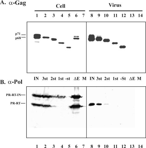 FIG. 2.