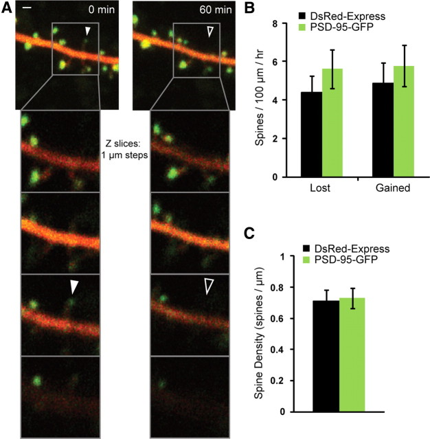 Figure 1.
