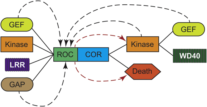 Figure 3