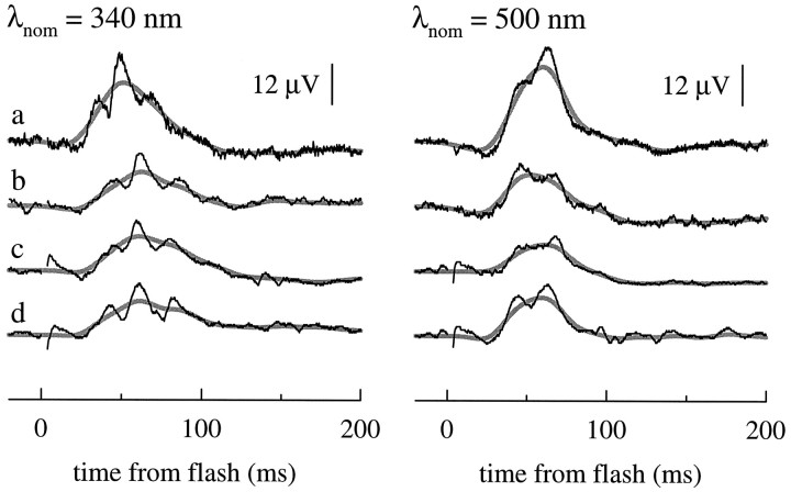 Fig. 9.
