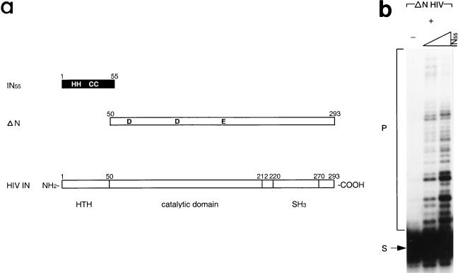 FIG. 1