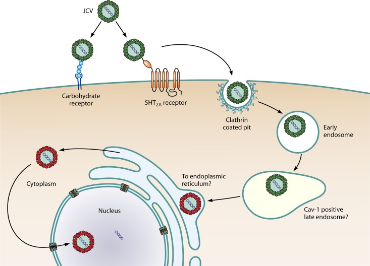Fig 2