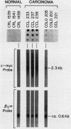 1973