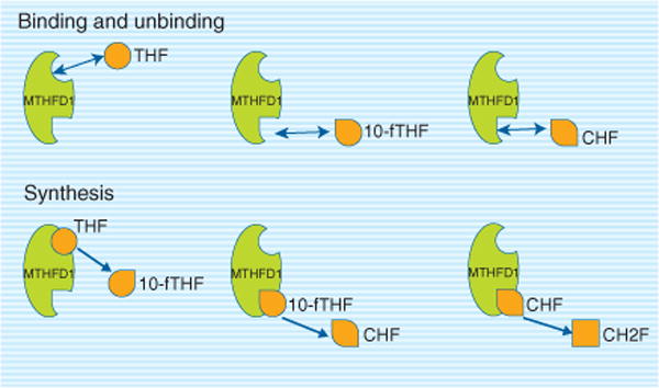 FIGURE 4