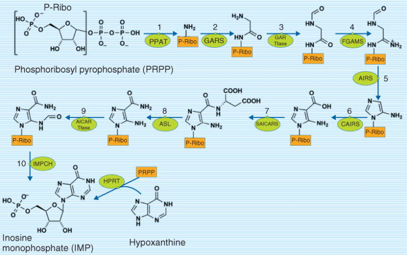FIGURE 2