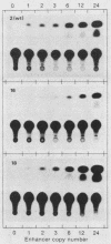 147