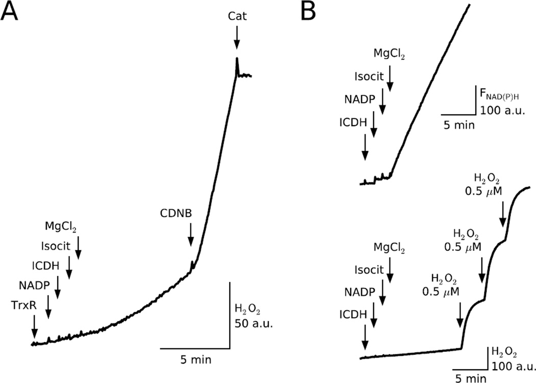 Fig. 6