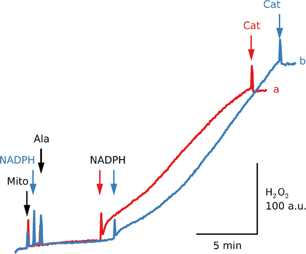 Fig. 7