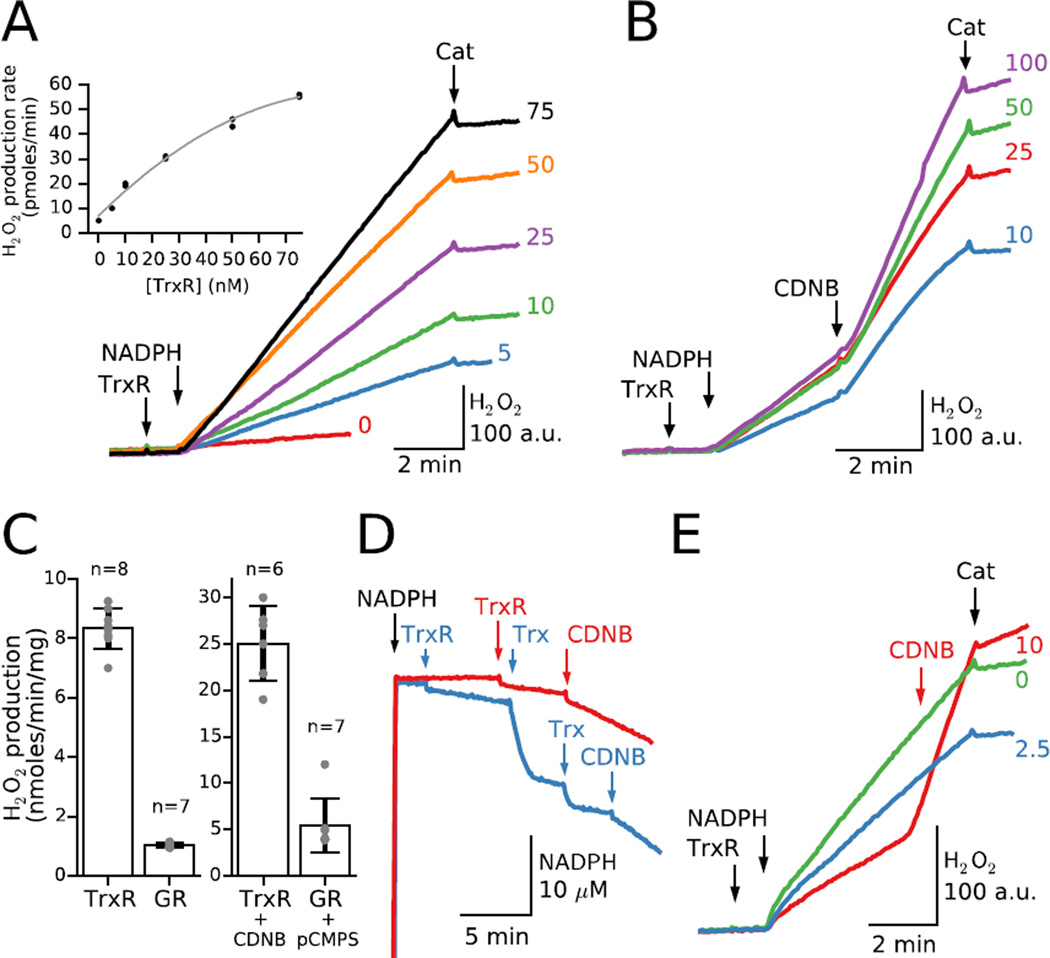 Fig. 4