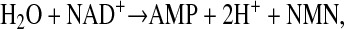 graphic file with name M28.gif