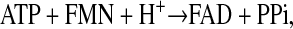 graphic file with name M29.gif