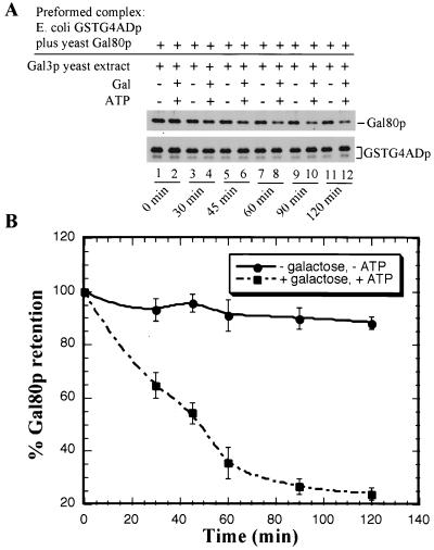 FIG. 7