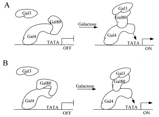 FIG. 9