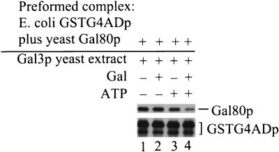 FIG. 5