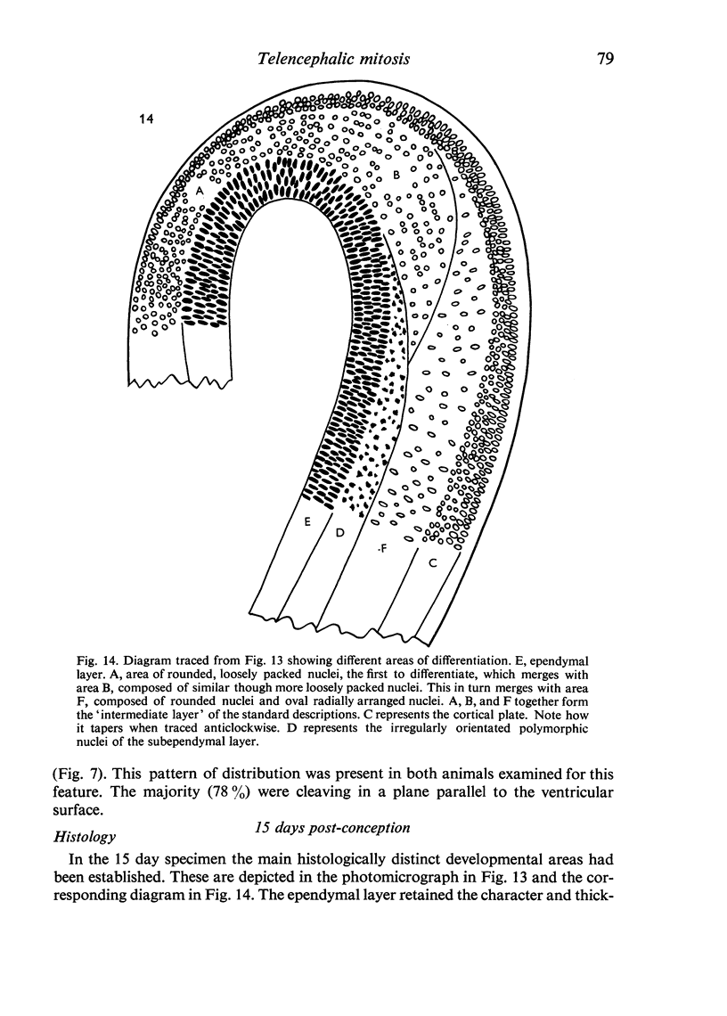 79