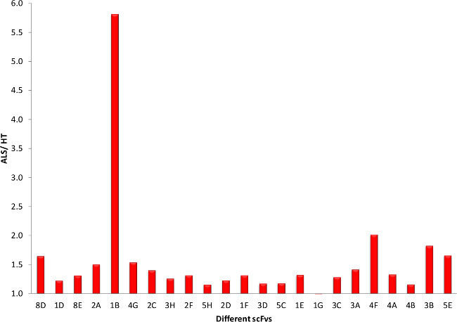 graphic file with name jove-96-52584-6.jpg