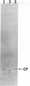 1253