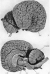 354-1