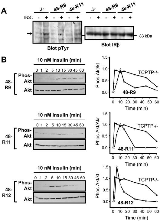 FIG. 9.