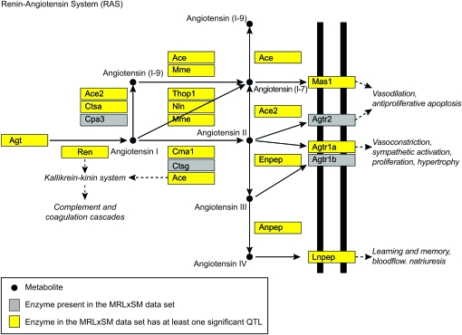 Figure 3.—