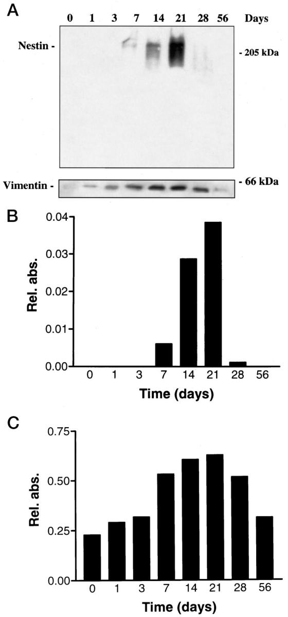 Figure 7.