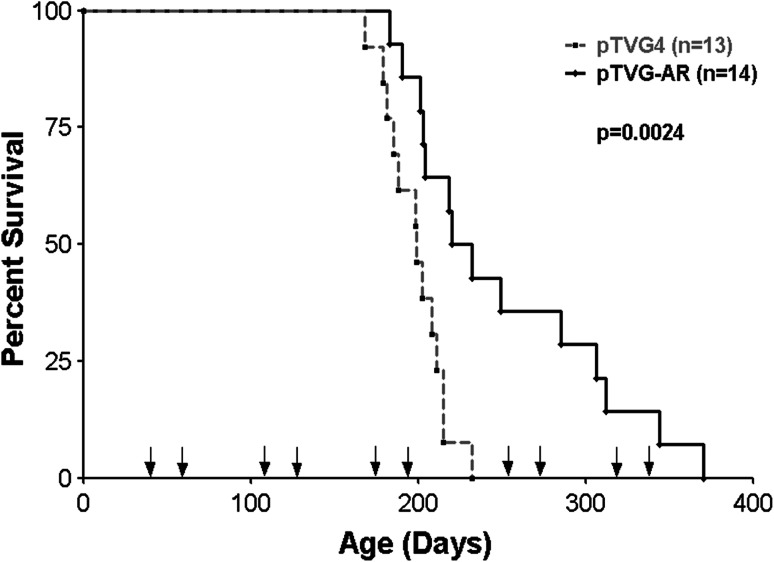 Fig. 6