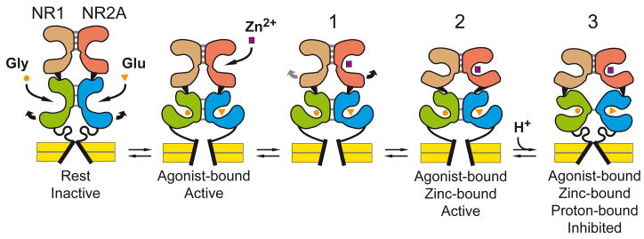 Figure 8