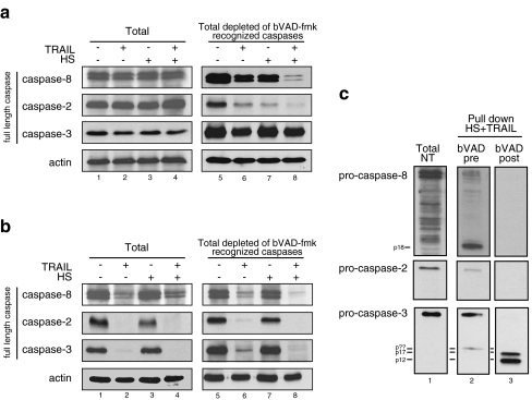 Fig. 6
