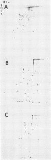 316