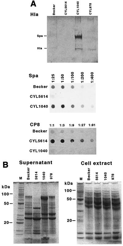 FIG. 5.