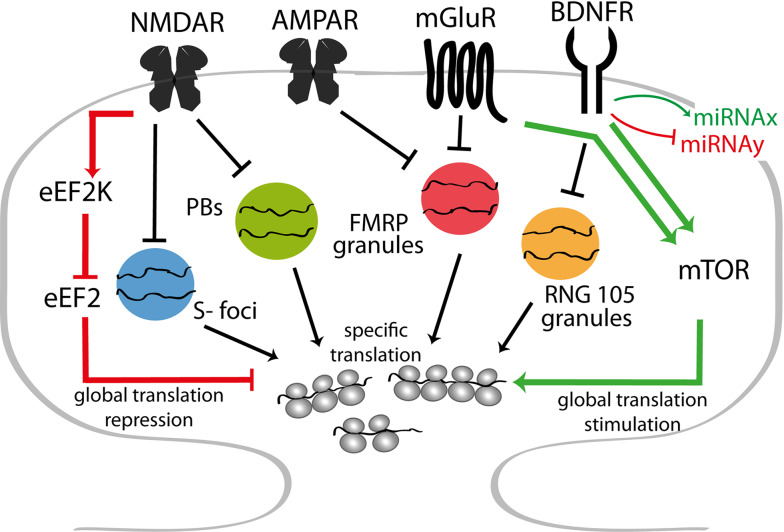 Fig. 4