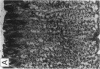 2415