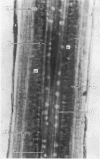 406-1