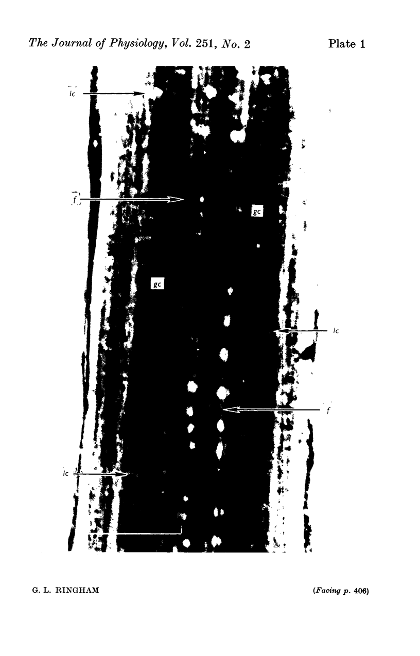 406-1