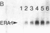 331