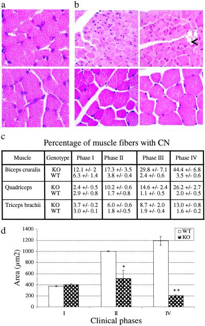 Fig 3.