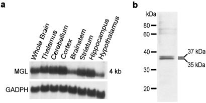 Fig 2.