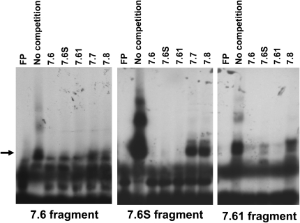 Figure 7.